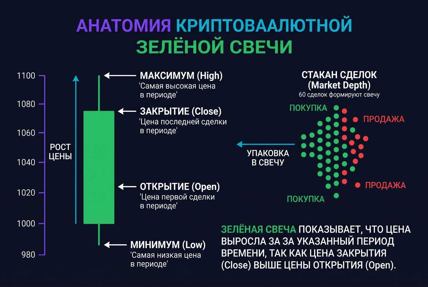 OHLC Candlestick Anatomy